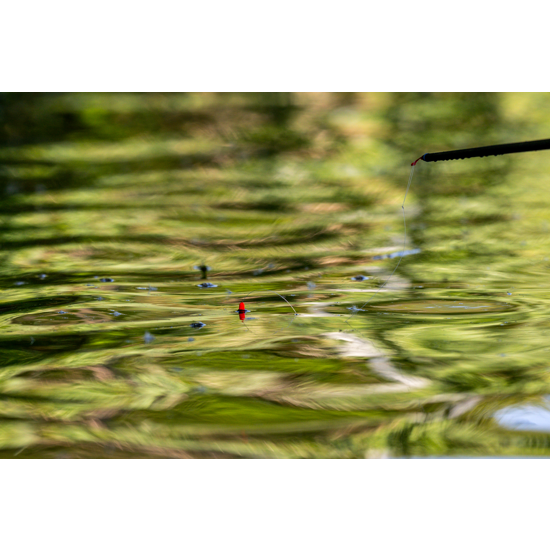 Pluta Preston - F1 Dibber Float - 2 NO11